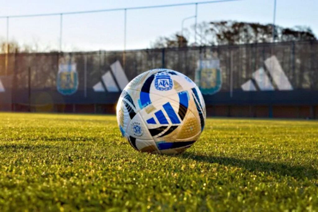 pelota torneo clausura