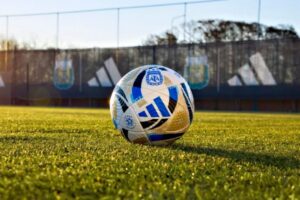 pelota torneo clausura