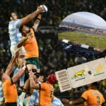 pumas vs australia uar entradas