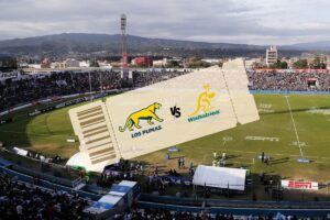 entradas pumas wallabies